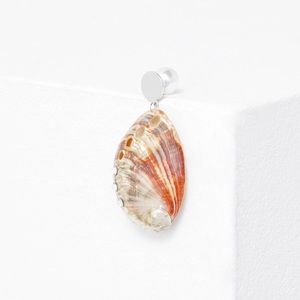 Peet Dullaert Vita Shell Single Earring